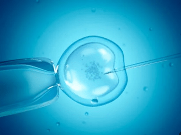 in vitro acupuntura